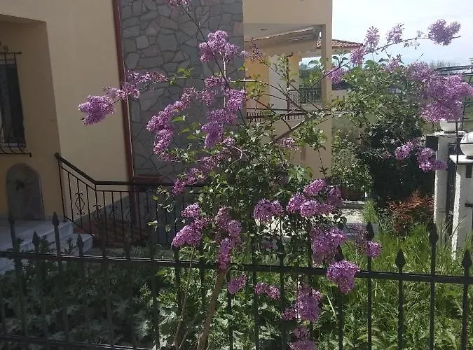 Tatil Evi Soyzana Heavenly Nea Kerasia